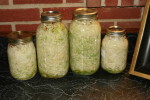 Simple Homemade Sauerkraut