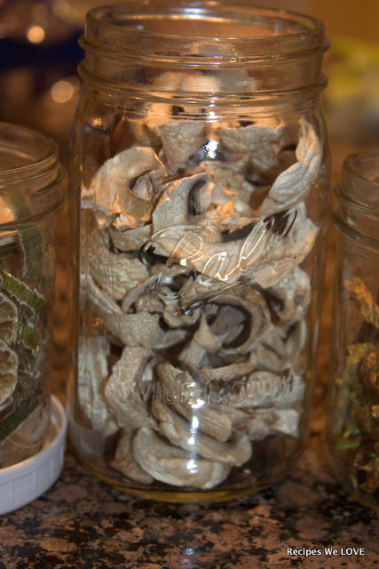 https://recipeswelove.net/wp-content/uploads/2012/09/how-to-dry-mushrooms-using-a-food-dehydrator-1.jpg