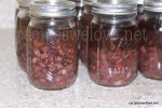 Canning Black Beans (Pressure Canner)