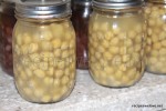 Canning Chickpeas (pressure canner)