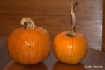 Two Ways to Make and Freeze Pumpkin Puree