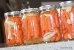 Pickled Carrots … Refrigerator Pickles, No canning required