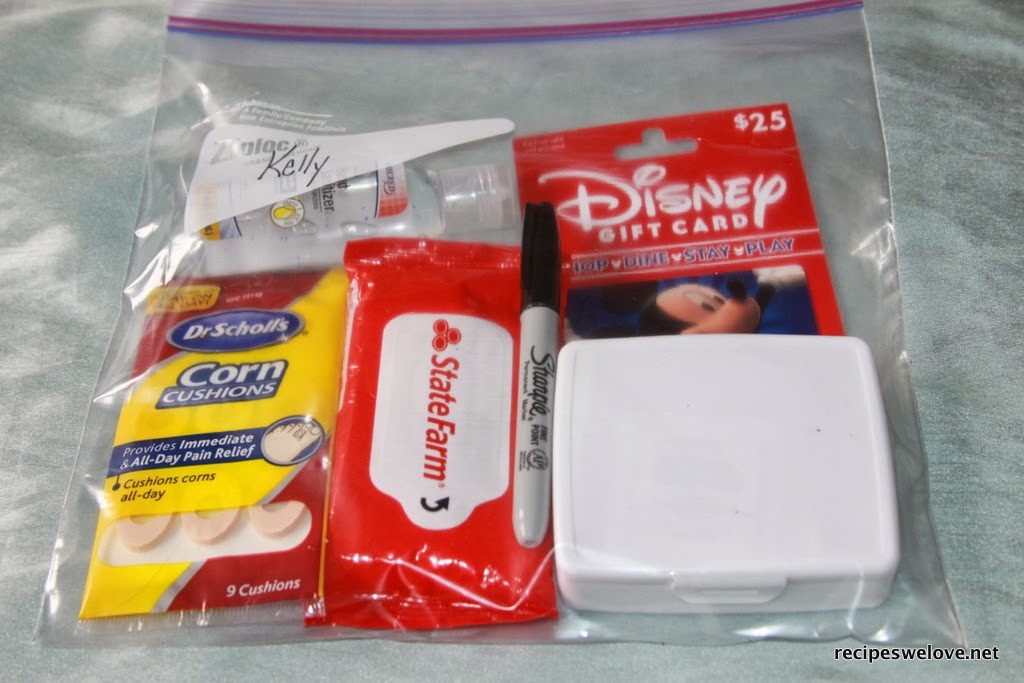 Disney Tips-Things to pack and take with you13