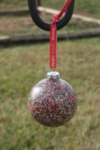 Fun Ornaments = Cheap Gifts