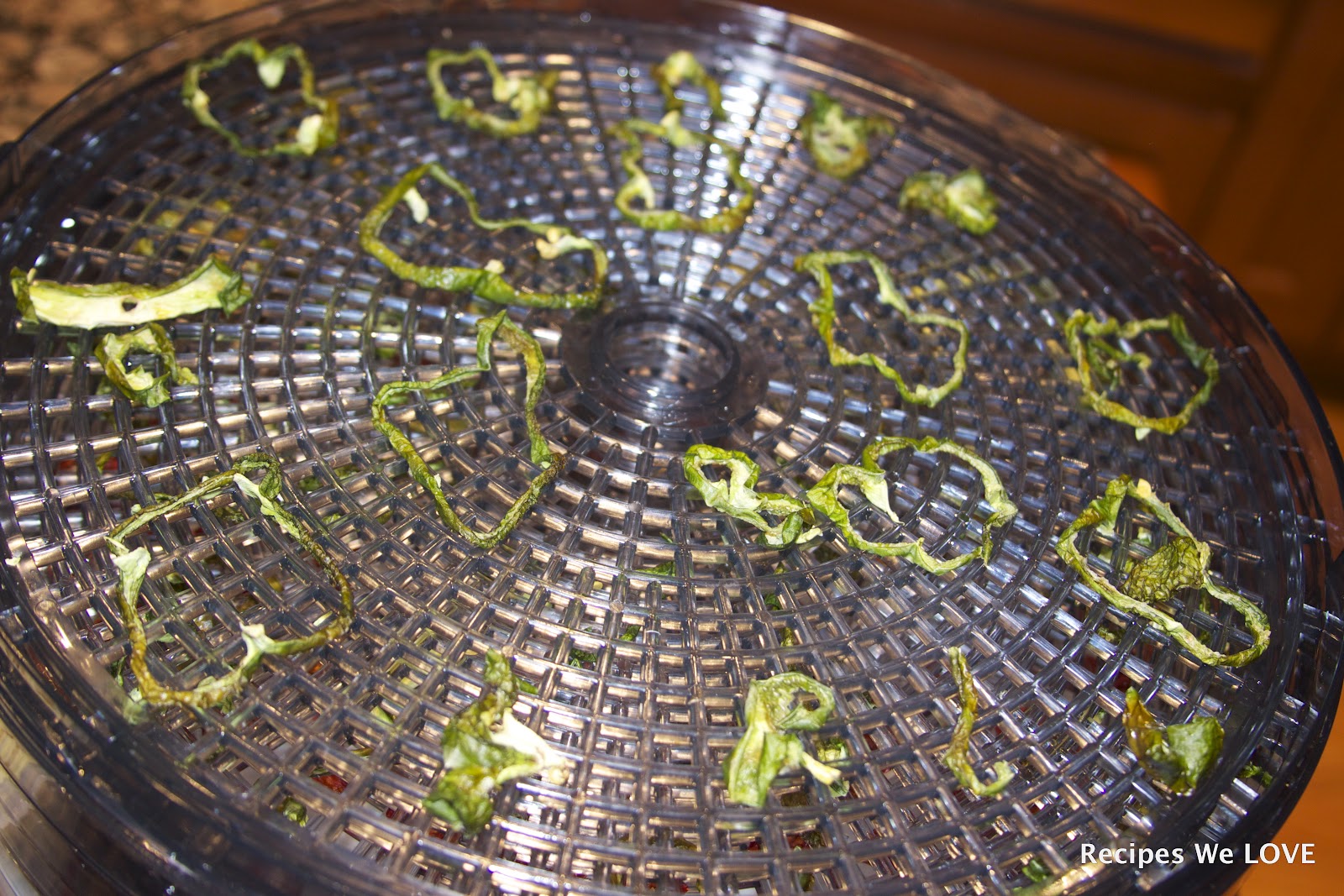 Learning to use a Food Dehydrator-4