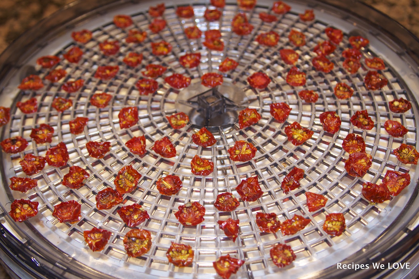 Learning to use a Food Dehydrator-5