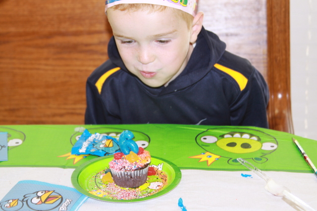 Small Birthday Party--- Angry Bird Style-4