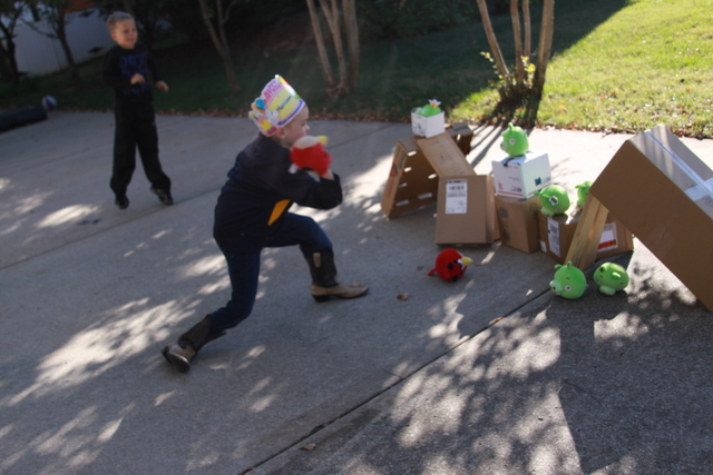 Small Birthday Party--- Angry Bird Style-7