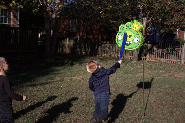 Small Birthday Party--- Angry Bird Style-9