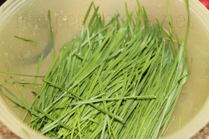 Wheatgrass-2